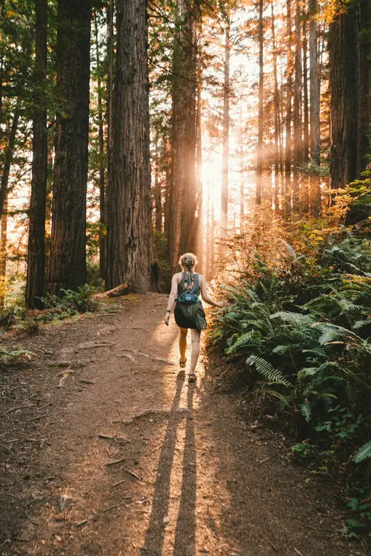Woman walking on a forest path